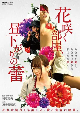 南方来客 手机免费在线观看